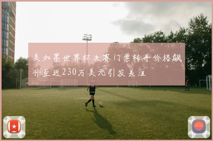 美加墨世界杯决赛门票转手价格飙升至近230万美元引发关注