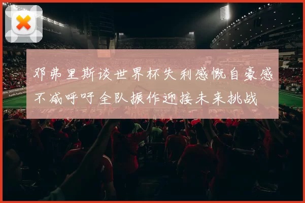 邓弗里斯谈世界杯失利感慨自豪感不减呼吁全队振作迎接未来挑战